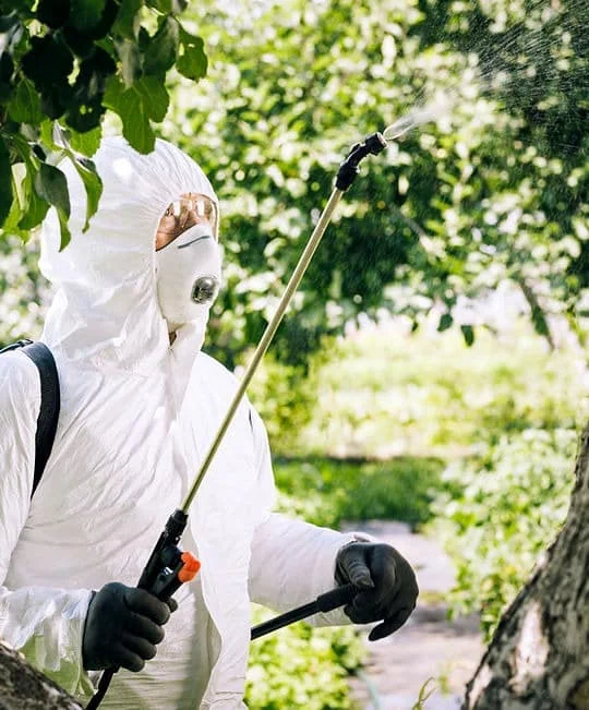 Technician spraying garden trees for pest control in Dubai